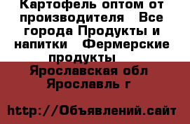 Картофель оптом от производителя - Все города Продукты и напитки » Фермерские продукты   . Ярославская обл.,Ярославль г.